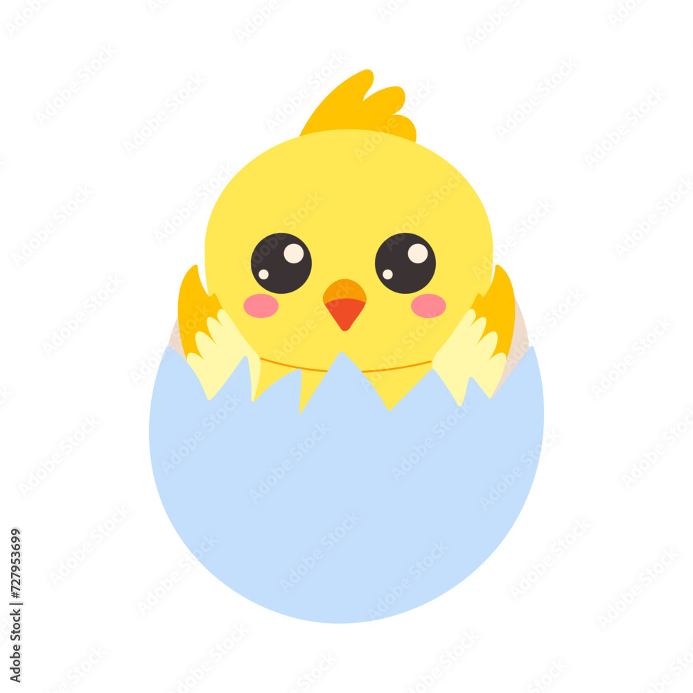 Vector cartoon cute chicken in egg Vector cartoon cute chicken in egg