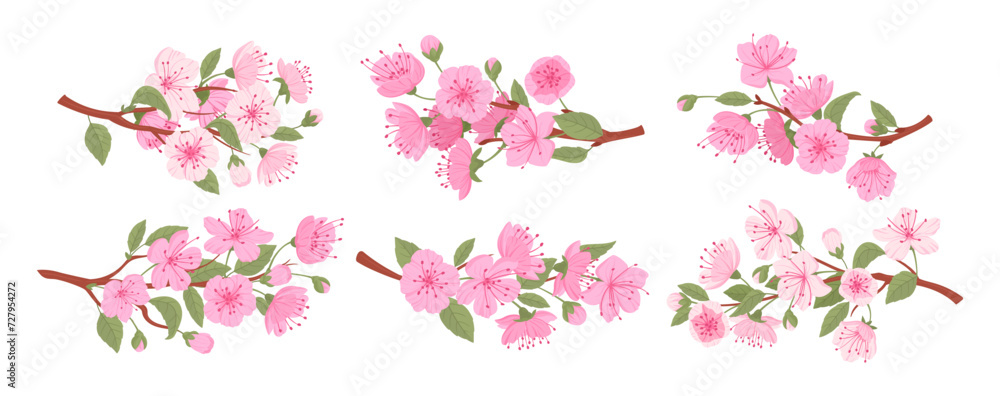 Sakura blooming branches. Spring japanese cherry tree, sakura flowers and buds flat vector illustration set. Traditional asian blooming branch collection Sakura blooming branches. Spring japanese cherry tree, sakura flowers and buds flat vector illustration set. Traditional asian blooming branch collection