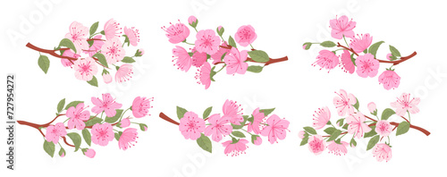 Sakura blooming branches. Spring japanese cherry tree, sakura flowers and buds flat vector illustration set. Traditional asian blooming branch collection