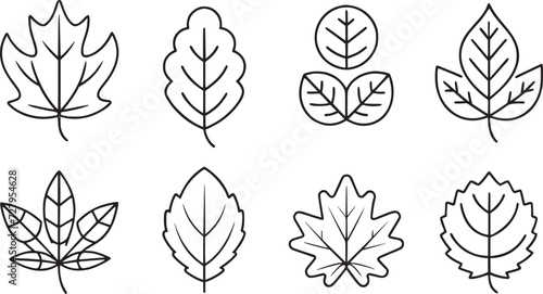leaves thin line icon set vectors collections. 