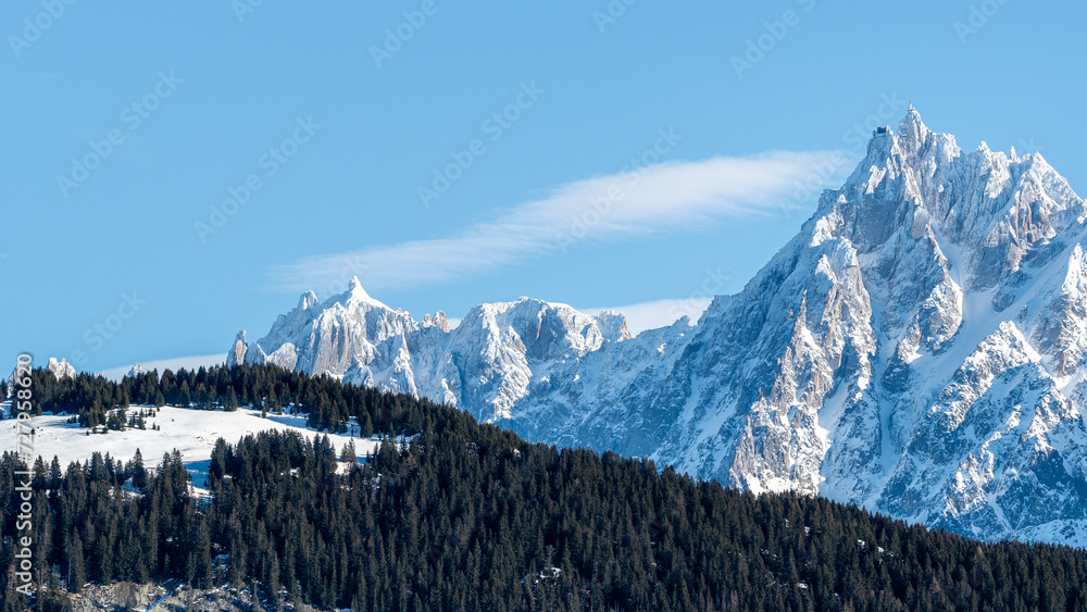 Aiguille du Midi dans le massif du Mont Blanc, en hiver, avec foret au premier plan