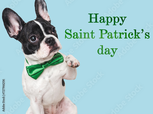 Happy St. Patrick's Day. Lovable, pretty puppy and a bright green bow tie. Closeup, studio shot. Congratulations for family, loved ones, relatives, friends and colleagues. Pet care concept © Svetlana