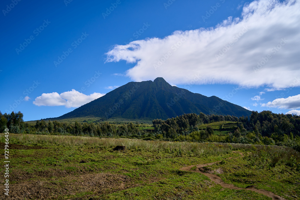 Views while on a guided trek in Volcanoes National Park, Rwanda