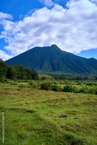 Views while on a guided trek in Volcanoes National Park, Rwanda