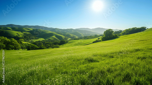 landscape with green grass and sky