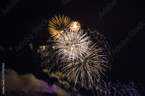 Firework bursts against a night sky