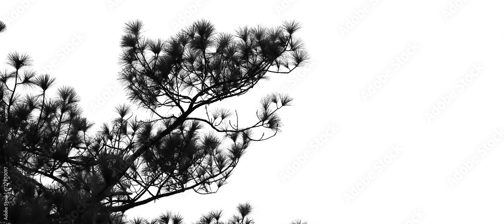 Fototapeta premium black and white background