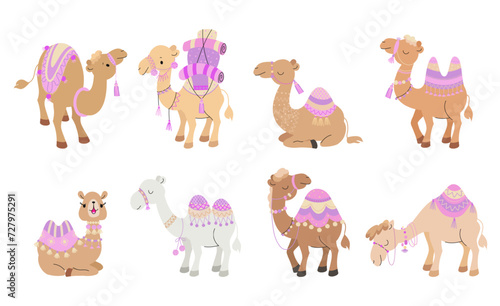 Cartoon camels. Isolated camel, cute desert animals with decorative carpets. Arabian animal, wild and pets. Funny children nowaday vector characters
