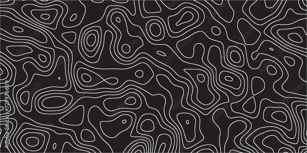 Abstract Topographic line art background. Mountain topographic terrain map background with white shape lines.Geographic map conceptual design.Black on white contour height lines. Abstract Topographic line art background. Mountain topographic terrain map background with white shape lines.Geographic map conceptual design.Black on white contour height lines.