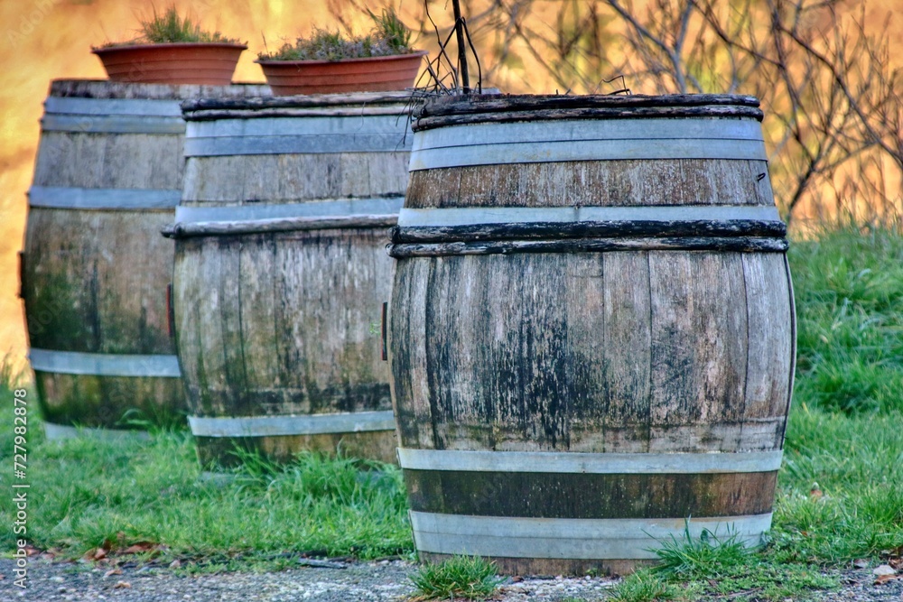 Fototapeta premium Tonneaux en Bourgogne.