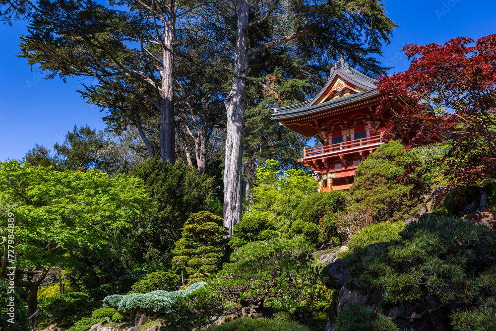 Japanese garden in San Francisco Japanese garden in San Francisco