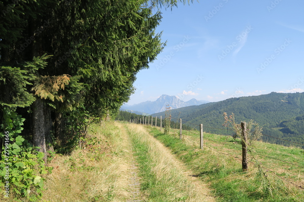 Wanderweg auf dem Hochplateau Gahberg in Weyregg am Attersee mit Blick auf eine Wiese daneben und einen Berggipfel im Hintergrund. Wanderweg auf dem Hochplateau Gahberg in Weyregg am Attersee mit Blick auf eine Wiese daneben und einen Berggipfel im Hintergrund.