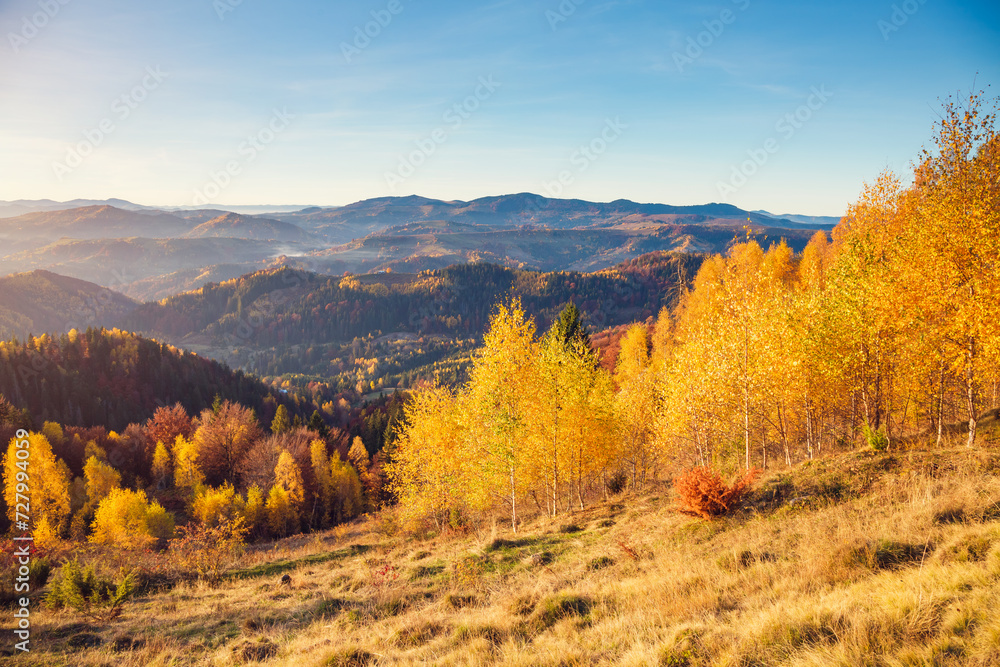 Fantastic view of colorful mountains in autumn. Location place Carpathian National Park, Ukraine.