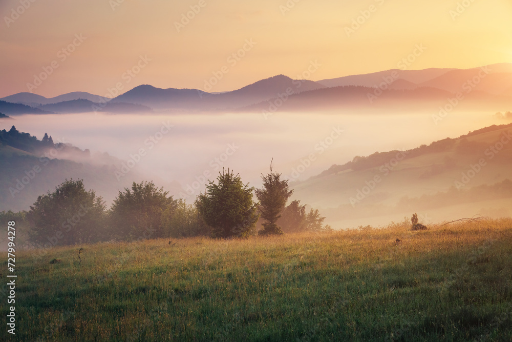 Fototapeta premium A tranquility view of the mountainous area in the haze. Carpathian National Park, Ukraine, Europe.
