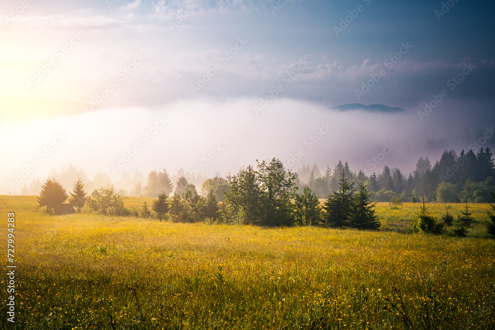 Attractive view of the mountainous area in morning. Carpathian National Park, Ukraine, Europe.