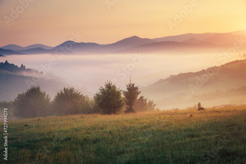 A tranquility view of the mountainous area in the haze. Carpathian National Park  Ukraine  Europe.