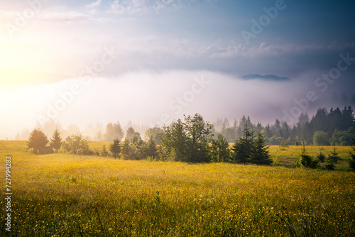 Attractive view of the mountainous area in morning. Carpathian National Park  Ukraine  Europe.