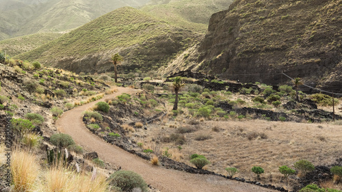 Winding dirt road among hills and palm trees of Agaete, Gran canaria, Spain