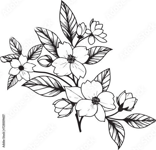 Jasmine line drawings, hand painted jasmine wall art, white jasmine botanical wall art, simple jasmine drawing, gardenia stock outline drawing, jasmine line art, hand drawn jasmines art