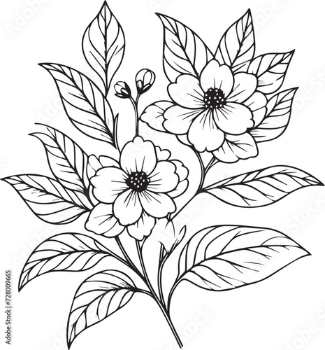 Flowers coloring pages  and book  Vector sketch of jasmine flowers  Hand drawn jasmine flowers  botanical leaf bud illustration engraved ink art style