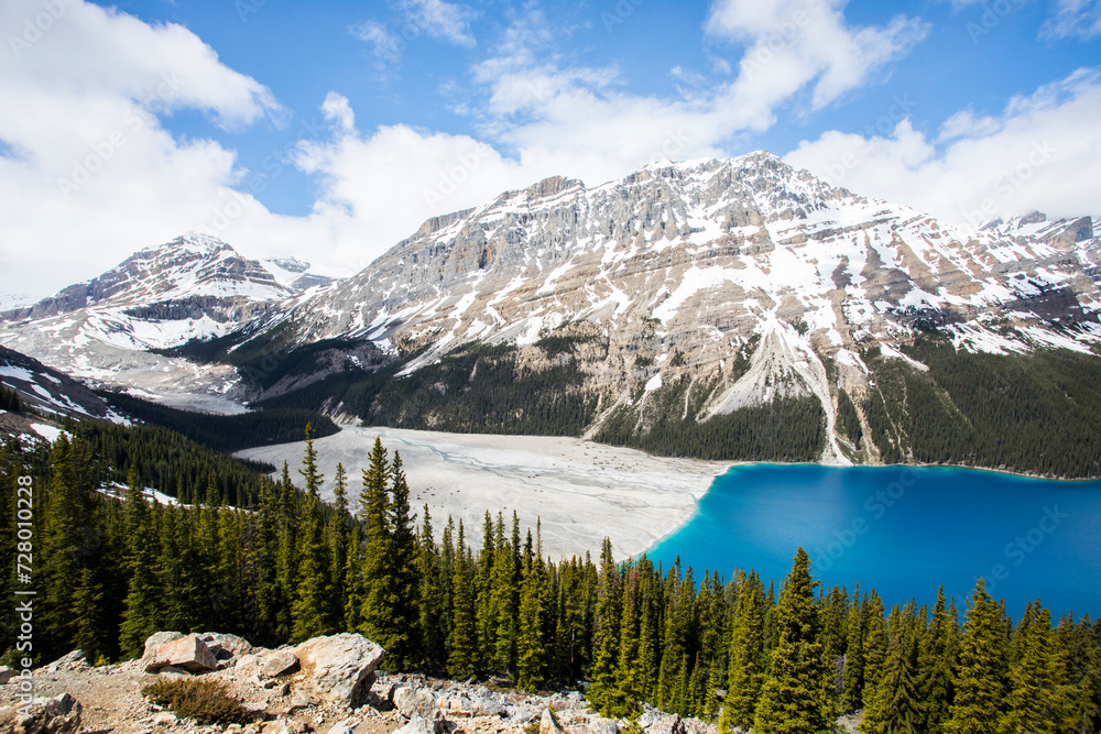 Obraz premium Summer landscape in Peyto lake, Banff National Park, Canada