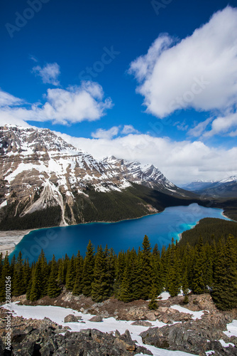 Summer landscape in Peyto lake, Banff National Park, Canada