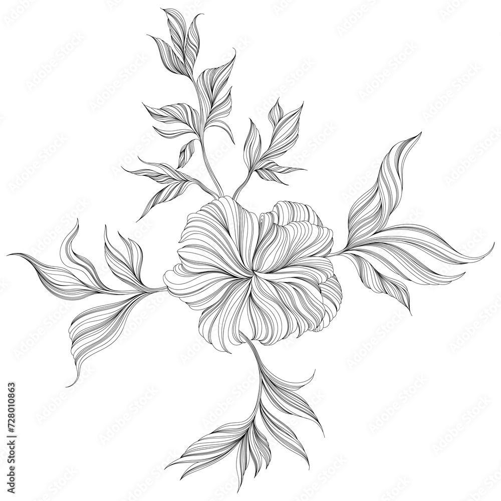 Abstract monochrome illustration with hand drawn hibiscus flower. Line ink drawing.