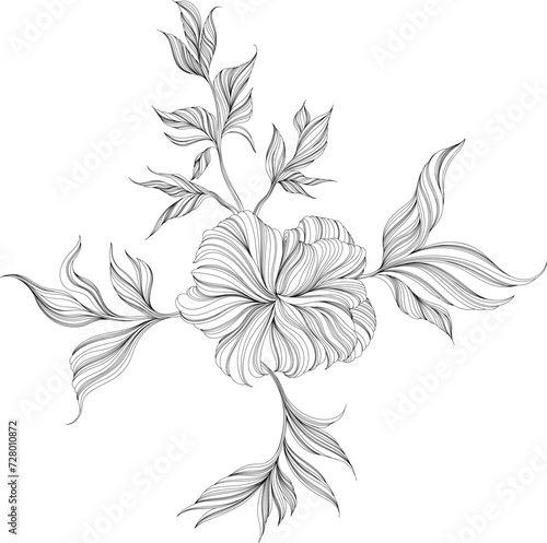 Fototapeta Naklejka Na Ścianę i Meble -  Abstract monochrome illustration with hand drawn hibiscus flower. Line ink drawing.
