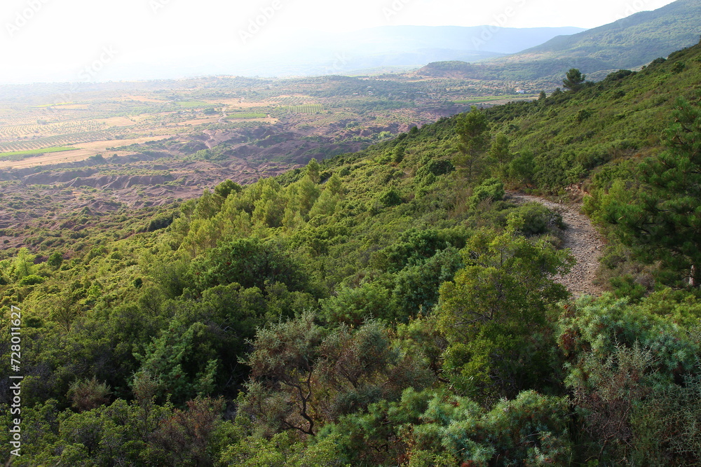 Obraz premium View of the garrigue and the Canyon du Diable from Roque Combarde on a June evening (St Saturnin de Lucian, Hérault, France) 