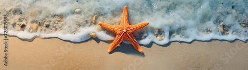 Panoramic view of starfish on the beach from above