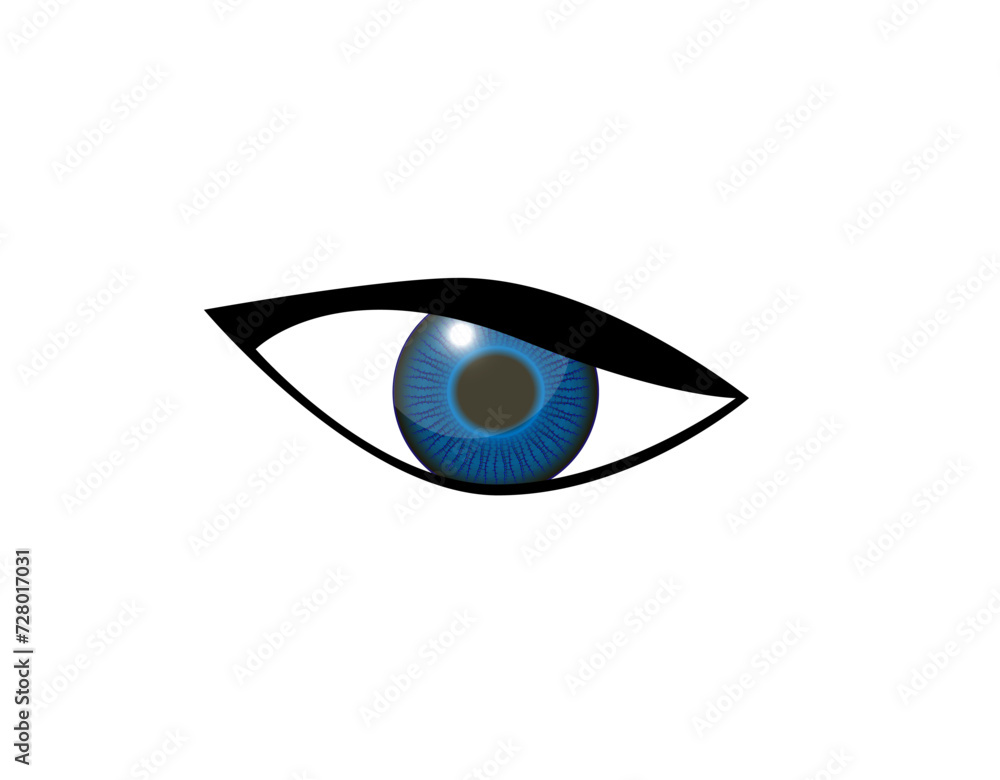 Vector illustration of a pupil or eye lens in beautiful color Vector illustration of a pupil or eye lens in beautiful color