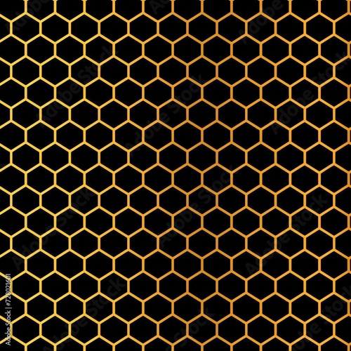 Luxurious Geometric Black Hexagon