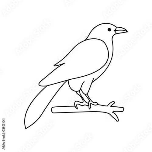 Crow single continuous one line out line vector art drawing and tattoo design 