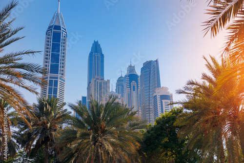 Cityscape of Dubai, summer park with palm and skyscrapers, sunlight. Amazing view skyline. Concept travel tourism in UAE © Parilov