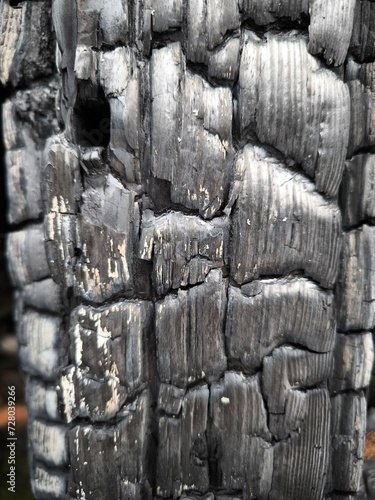 burnt old wood, wood texture, old boards