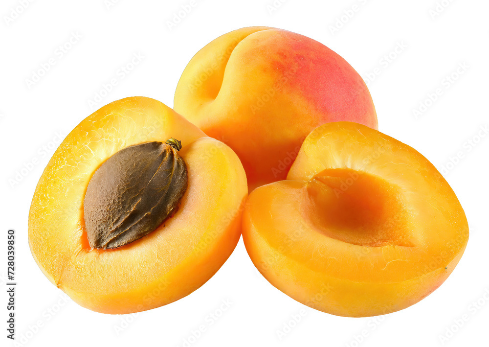 apricot - isolated apricot - isolated
