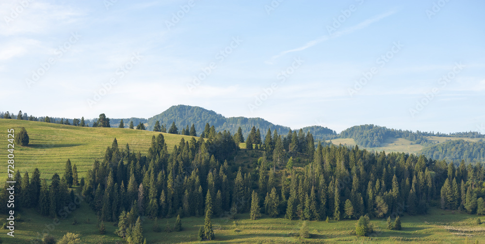 Fototapeta premium Wonderful nature scenery with forested rolling hills and green grassy meadows in morning light. Wanderlust travel concept