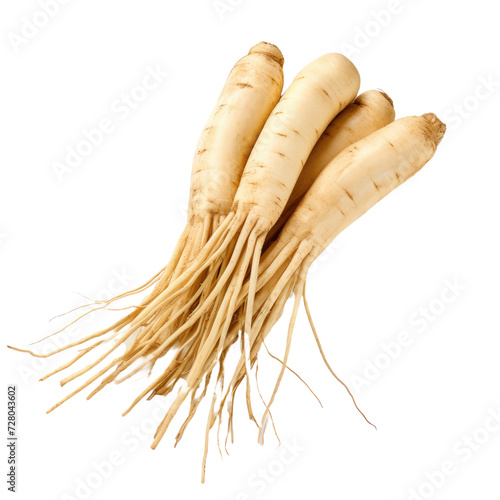 Ginseng on white or transparent background