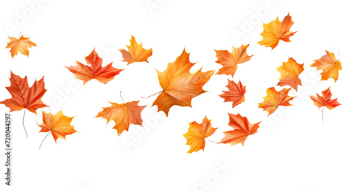Flying maple leaves on white or transparent background