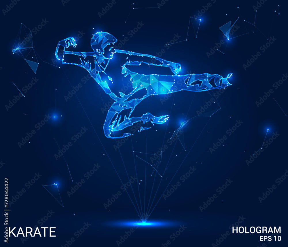 Karate fighter in a jump, vector silhouette illustration. Martial arts, judo, taekwondo. Self-defense