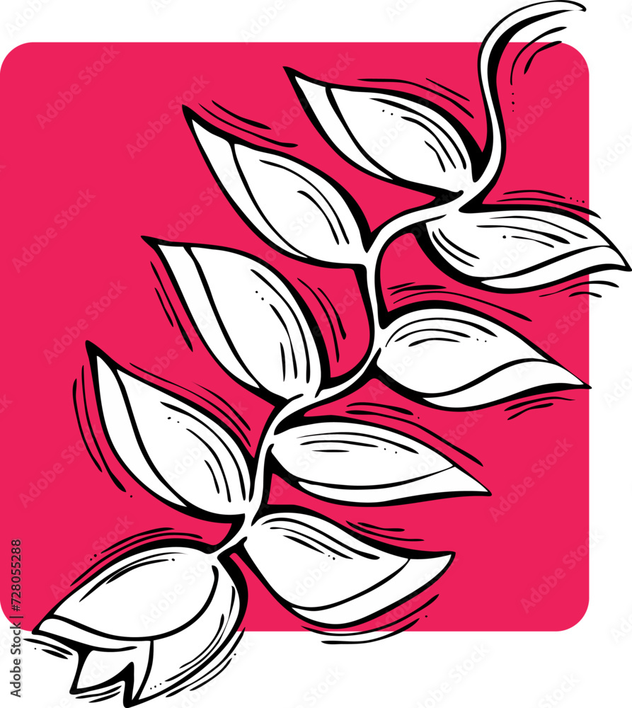 Obraz premium Beautiful flowers hand drawing. Decorative vector element for birthday party, wedding invitation, summer holyday mood. Botanical floral, garden theme.