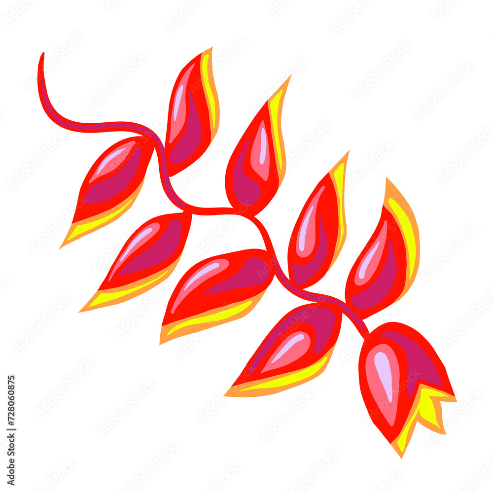 Beautiful flowers hand drawing. Decorative element for birthday party, wedding invitation, summer holyday mood. Botanical floral, garden theme. Beautiful flowers hand drawing. Decorative element for birthday party, wedding invitation, summer holyday mood. Botanical floral, garden theme.