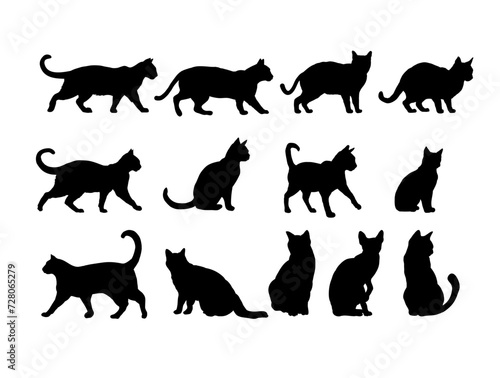 Fototapeta Naklejka Na Ścianę i Meble -  Set of cat silhouette - vector illustration	