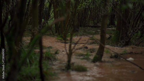 A man walking through a dark flooded forest in heavy rain during a storm