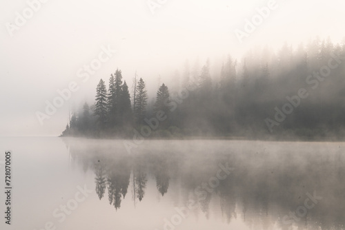Forest reflected in misty mountain lake