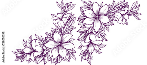 violet flower outline blossom decorative design background