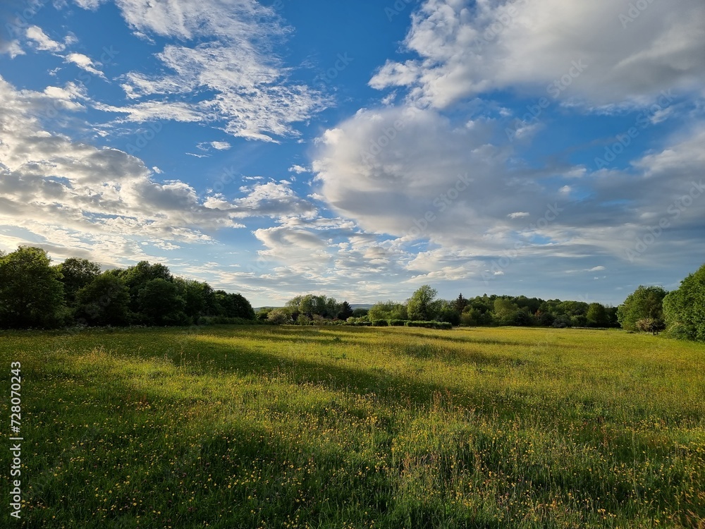 green field and blue sky