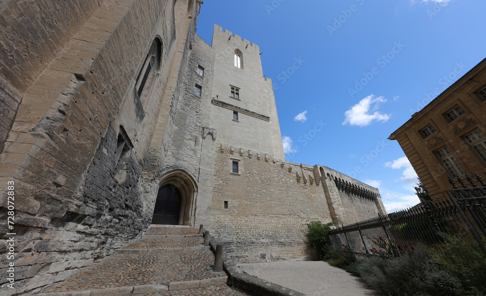 Obraz premium Palacio de los Papas, Aviñón, Francia
