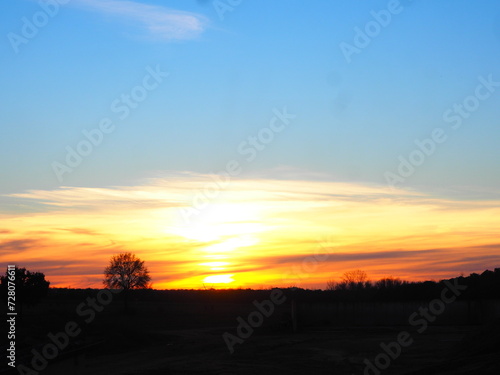 Sunset in the countryside, red, orange, and blue with trees. © Búho