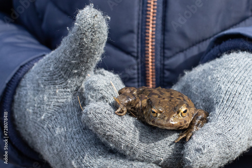holding a toad 